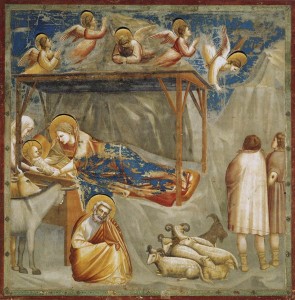nativity-giotto